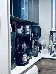 Stars Of Kovan (D19), Apartment #558924301